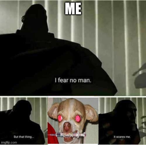 follow or this will be under your bed at 3am | ME | image tagged in i fear no man | made w/ Imgflip meme maker