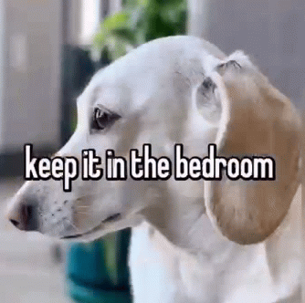 Homophobic dog Blank Meme Template