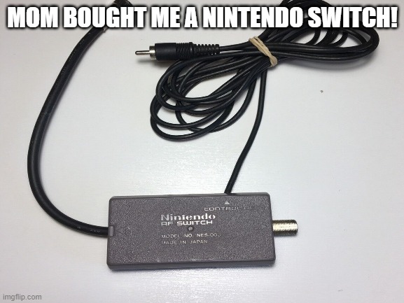 Nintendo "Switch" | MOM BOUGHT ME A NINTENDO SWITCH! | image tagged in disaster girl,nintendo switch,christmas | made w/ Imgflip meme maker