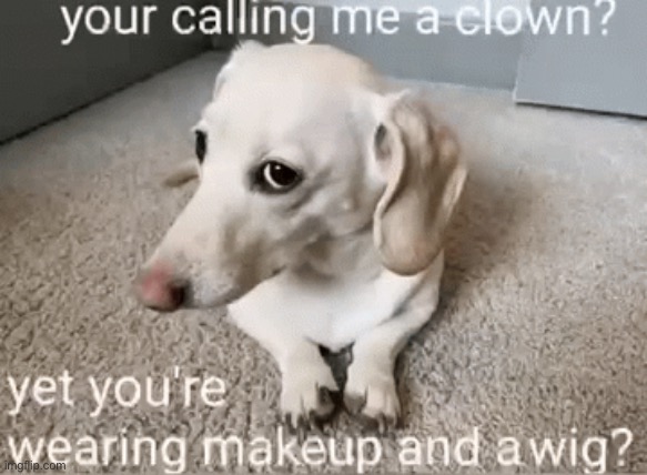 *you’re :nerd: | image tagged in homophobic dog | made w/ Imgflip meme maker