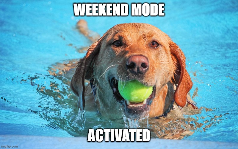 Weekend doggo | WEEKEND MODE; ACTIVATED | image tagged in dogs,dog,funny,weekend | made w/ Imgflip meme maker
