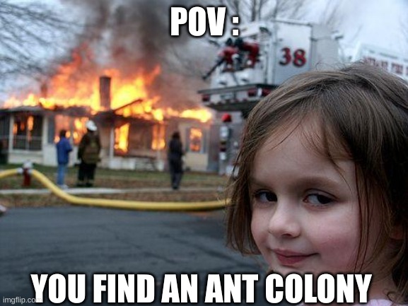 Disaster Girl | POV :; YOU FIND AN ANT COLONY | image tagged in memes,disaster girl | made w/ Imgflip meme maker