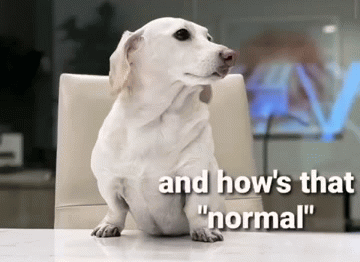Homophobic dog Blank Meme Template