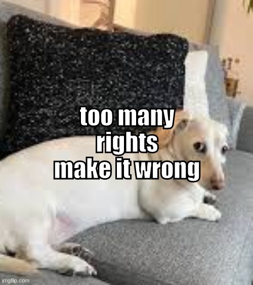 too many rights make it wrong | made w/ Imgflip meme maker