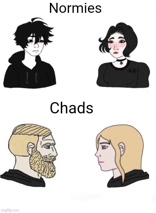 Chads vs normies | image tagged in chads vs normies | made w/ Imgflip meme maker