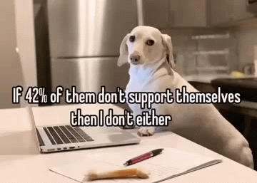 Homophobic dog Blank Meme Template