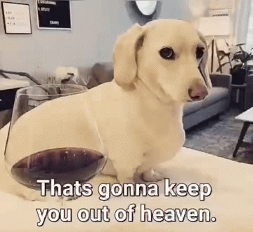 Homophobic dog Blank Meme Template