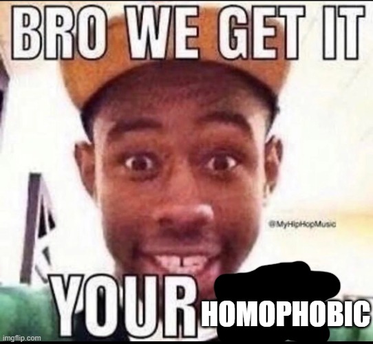 BRO WE GET IT YOU'RE GAY | HOMOPHOBIC | image tagged in bro we get it you're gay | made w/ Imgflip meme maker