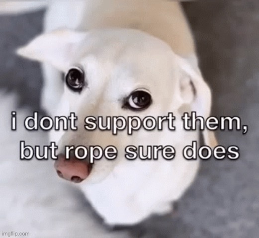 Homophobic dog | image tagged in homophobic dog | made w/ Imgflip meme maker