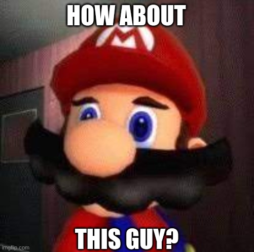 Stupid Mario | HOW ABOUT THIS GUY? | image tagged in stupid mario | made w/ Imgflip meme maker