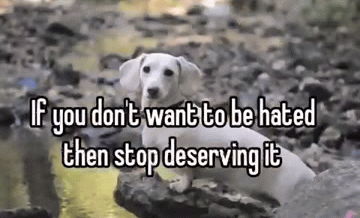 Homophobic dog Blank Meme Template