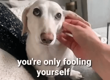 Homophobic dog Blank Meme Template