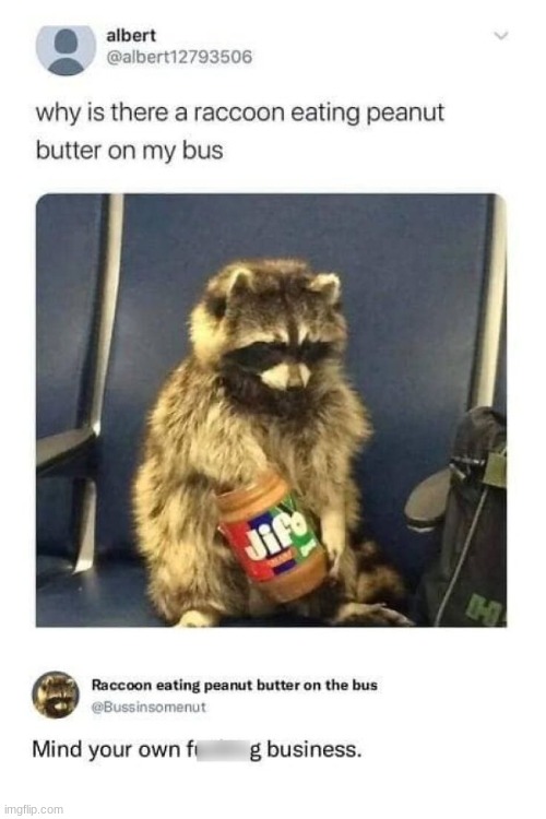 image tagged in funny,racoon,peanut butter,bus,meme,why are you reading the tags | made w/ Imgflip meme maker