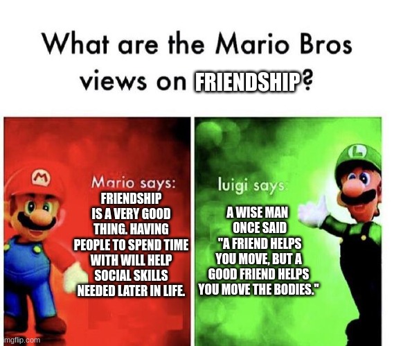Mario Bros Views | FRIENDSHIP; FRIENDSHIP IS A VERY GOOD THING. HAVING PEOPLE TO SPEND TIME WITH WILL HELP SOCIAL SKILLS NEEDED LATER IN LIFE. A WISE MAN    ONCE SAID 
 "A FRIEND HELPS YOU MOVE, BUT A GOOD FRIEND HELPS YOU MOVE THE BODIES." | image tagged in mario bros views | made w/ Imgflip meme maker
