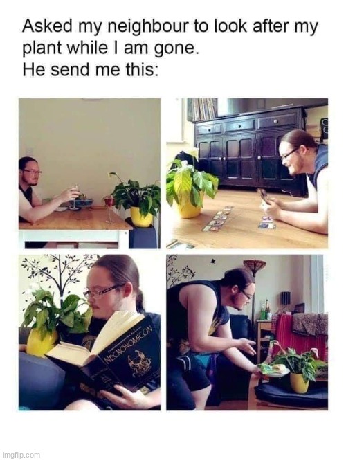 image tagged in funny,neighbor,plant,meme,why are you reading the tags,you have been eternally cursed for reading the tags | made w/ Imgflip meme maker