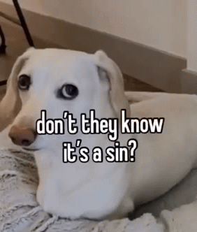 Homophobic dog Blank Meme Template