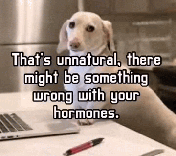 Homophobic dog Blank Meme Template