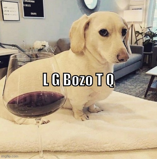 Homophobic Dog | L G Bozo T Q | image tagged in homophobic dog | made w/ Imgflip meme maker