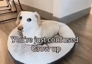 Homophobic dog Blank Meme Template