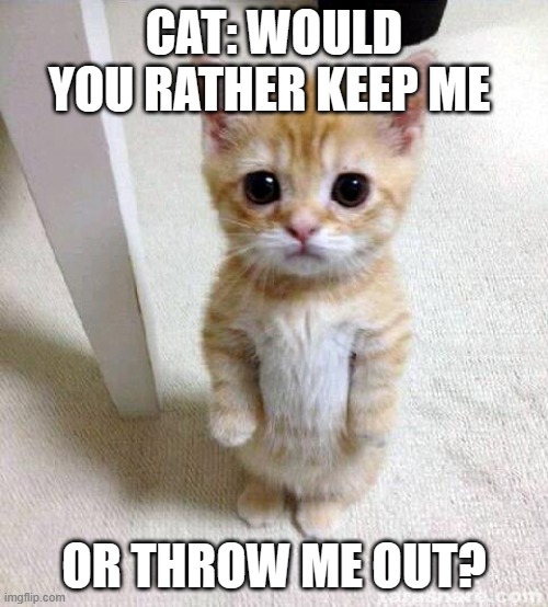 Cute and adorable kitty | CAT: WOULD YOU RATHER KEEP ME; OR THROW ME OUT? | image tagged in memes,cute cat | made w/ Imgflip meme maker