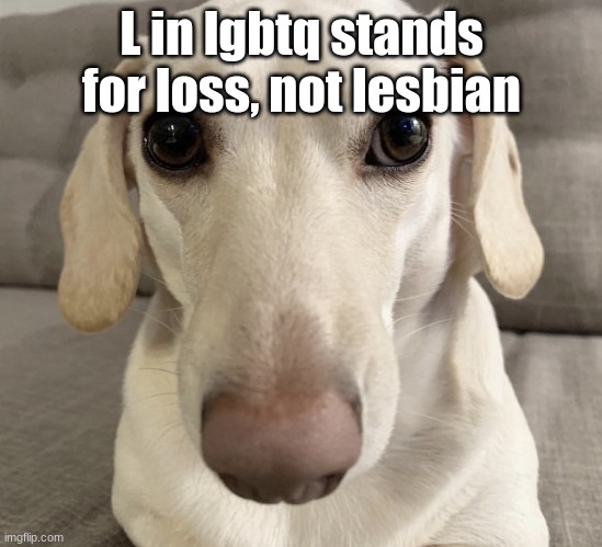 AAAAAAAAAAAAa | L in lgbtq stands for loss, not lesbian | image tagged in homophobic dog | made w/ Imgflip meme maker