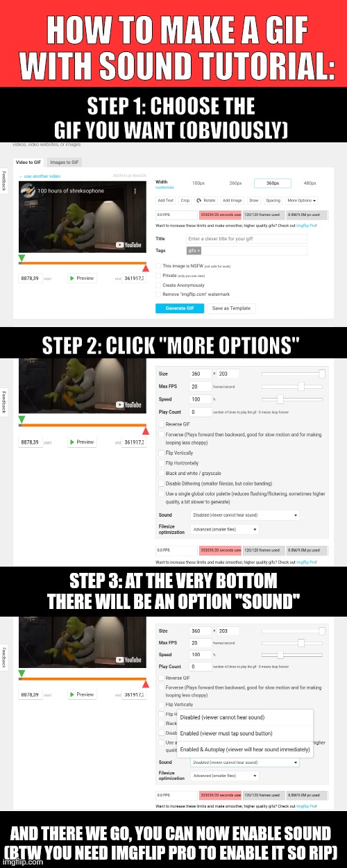 Hope this helps some users | I; HOW TO MAKE A GIF WITH SOUND TUTORIAL:; STEP 1: CHOOSE THE GIF YOU WANT (OBVIOUSLY); STEP 2: CLICK "MORE OPTIONS"; STEP 3: AT THE VERY BOTTOM THERE WILL BE AN OPTION "SOUND"; AND THERE WE GO, YOU CAN NOW ENABLE SOUND (BTW YOU NEED IMGFLIP PRO TO ENABLE IT SO RIP) | image tagged in interesting,tutorial,memes,gifs | made w/ Imgflip meme maker