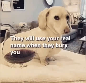 Homophobic dog Blank Meme Template