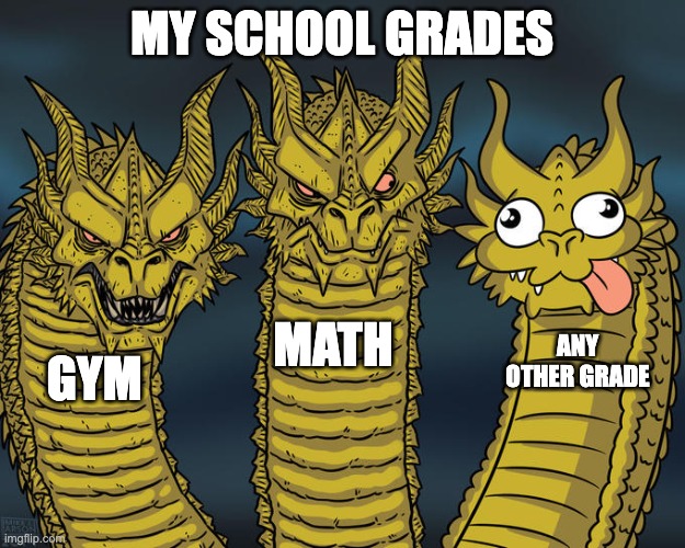 my report card | MY SCHOOL GRADES; MATH; ANY OTHER GRADE; GYM | image tagged in three-headed dragon | made w/ Imgflip meme maker