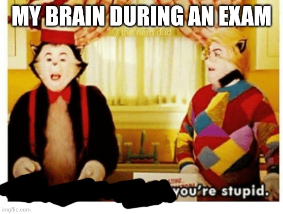 You're not just wrong your stupid | MY BRAIN DURING AN EXAM | image tagged in you're not just wrong your stupid | made w/ Imgflip meme maker