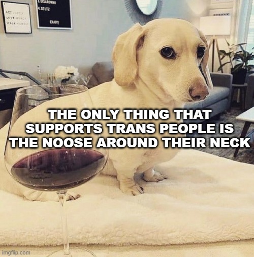 Homophobic Dog | THE ONLY THING THAT SUPPORTS TRANS PEOPLE IS THE NOOSE AROUND THEIR NECK | image tagged in homophobic dog | made w/ Imgflip meme maker