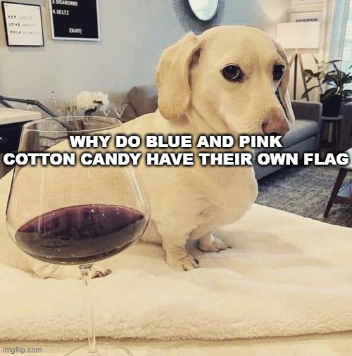 Homophobic Dog | WHY DO BLUE AND PINK COTTON CANDY HAVE THEIR OWN FLAG | image tagged in homophobic dog | made w/ Imgflip meme maker