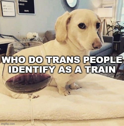 Homophobic Dog | WHO DO TRANS PEOPLE IDENTIFY AS A TRAIN | image tagged in homophobic dog | made w/ Imgflip meme maker