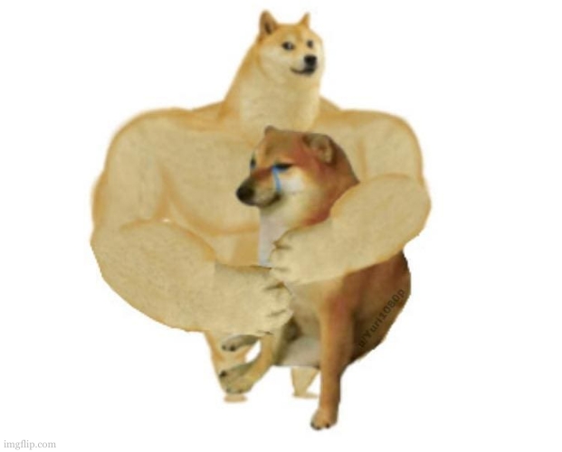 big brother doge hugging little brother cheems | image tagged in big brother doge hugging little brother cheems | made w/ Imgflip meme maker