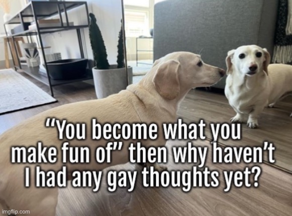 My memes are running dry. I will release wave two later | image tagged in homophobic dog | made w/ Imgflip meme maker