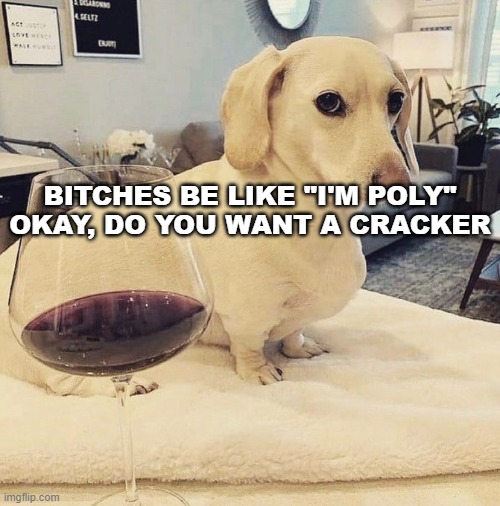Homophobic Dog | BITCHES BE LIKE "I'M POLY" OKAY, DO YOU WANT A CRACKER | image tagged in homophobic dog | made w/ Imgflip meme maker