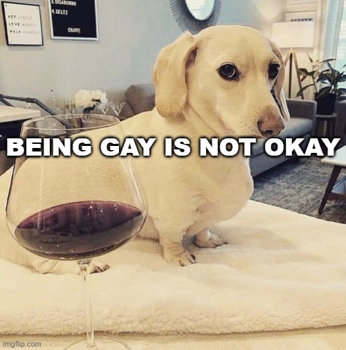Homophobic Dog | BEING GAY IS NOT OKAY | image tagged in homophobic dog | made w/ Imgflip meme maker