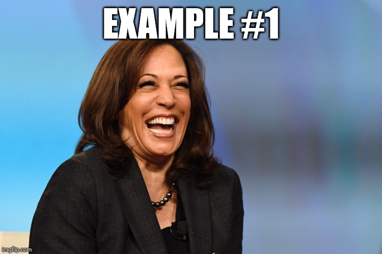 Kamala Harris laughing | EXAMPLE #1 | image tagged in kamala harris laughing | made w/ Imgflip meme maker