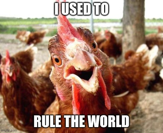 Chicken | I USED TO RULE THE WORLD | image tagged in chicken | made w/ Imgflip meme maker
