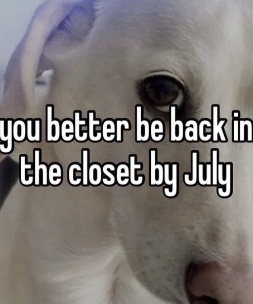 Homophobic dog Blank Meme Template