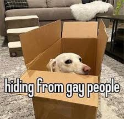 Homophobic dog Blank Meme Template
