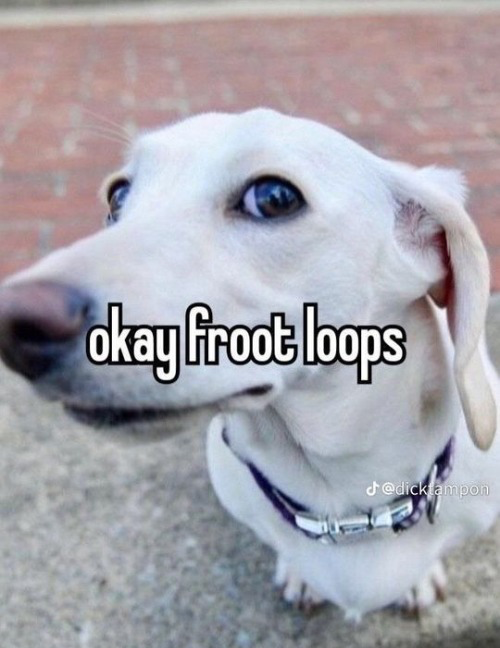 Homophobic dog Blank Template Imgflip