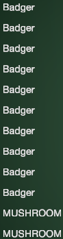 High Quality Badgers Blank Meme Template