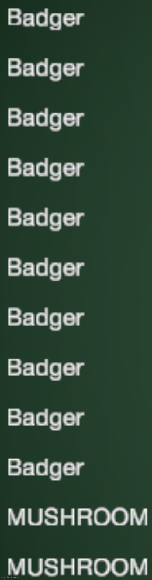 Badgers | image tagged in badgers | made w/ Imgflip meme maker