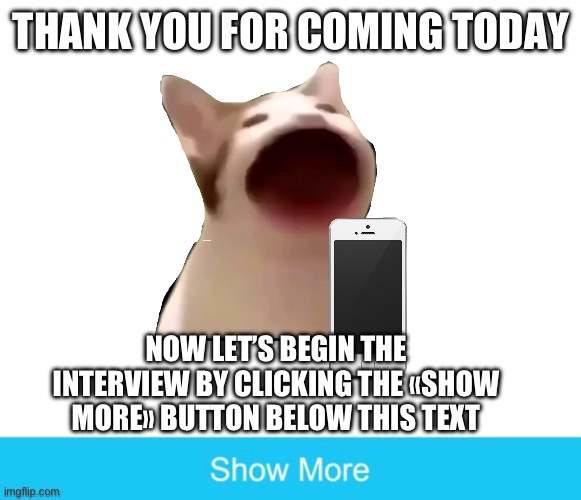THANK YOU FOR COMING TODAY; NOW LET’S BEGIN THE INTERVIEW BY CLICKING THE «SHOW MORE» BUTTON BELOW THIS TEXT | made w/ Imgflip meme maker