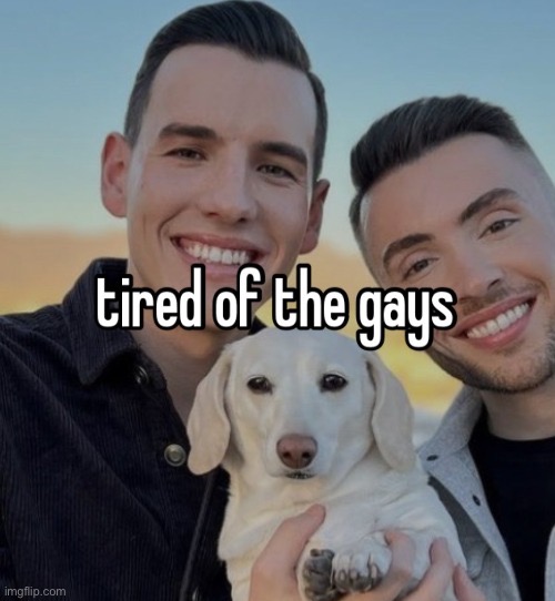 Tired of the gays | image tagged in tired of the gays | made w/ Imgflip meme maker