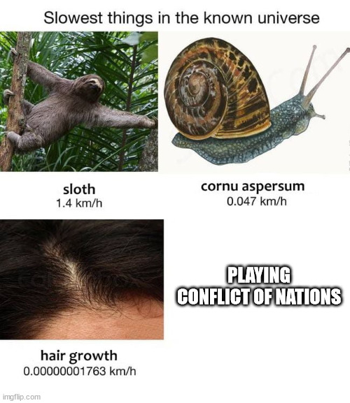 i have zero conflict of nations experience but from what people who've played it it's so slow | PLAYING CONFLICT OF NATIONS | image tagged in slowest things | made w/ Imgflip meme maker