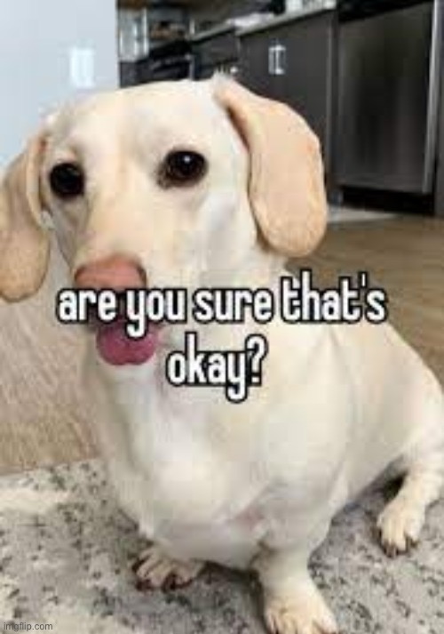 Homophobic dog | image tagged in homophobic dog | made w/ Imgflip meme maker