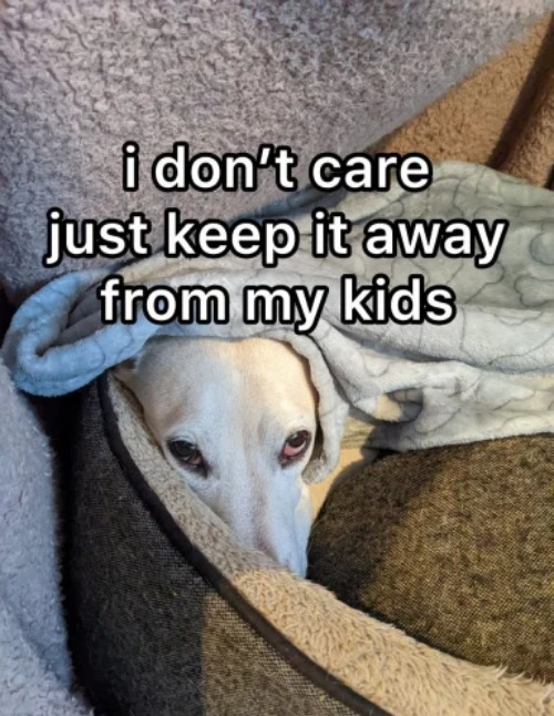 Homophobic dog Blank Meme Template