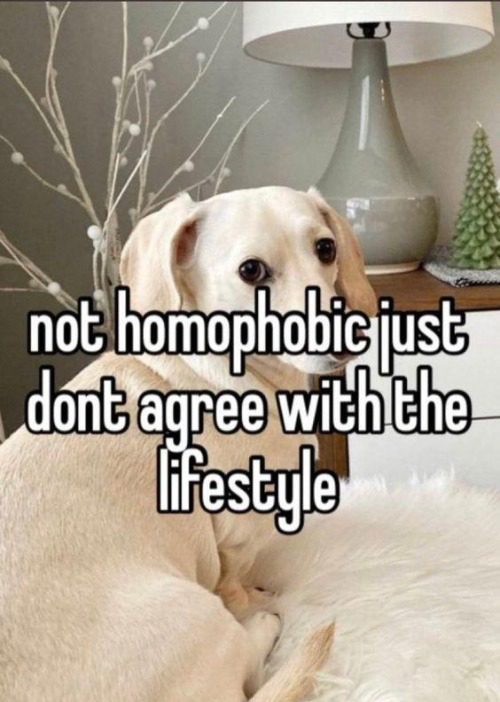 Homophobic dog Blank Meme Template