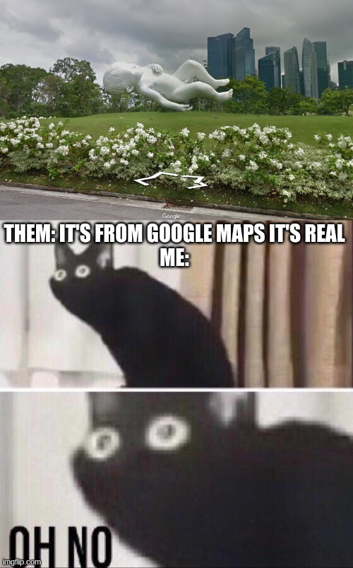 oh no its back | THEM: IT'S FROM GOOGLE MAPS IT'S REAL
ME: | image tagged in oh no cat | made w/ Imgflip meme maker